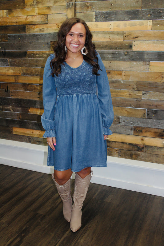 The Briar Denim Dress