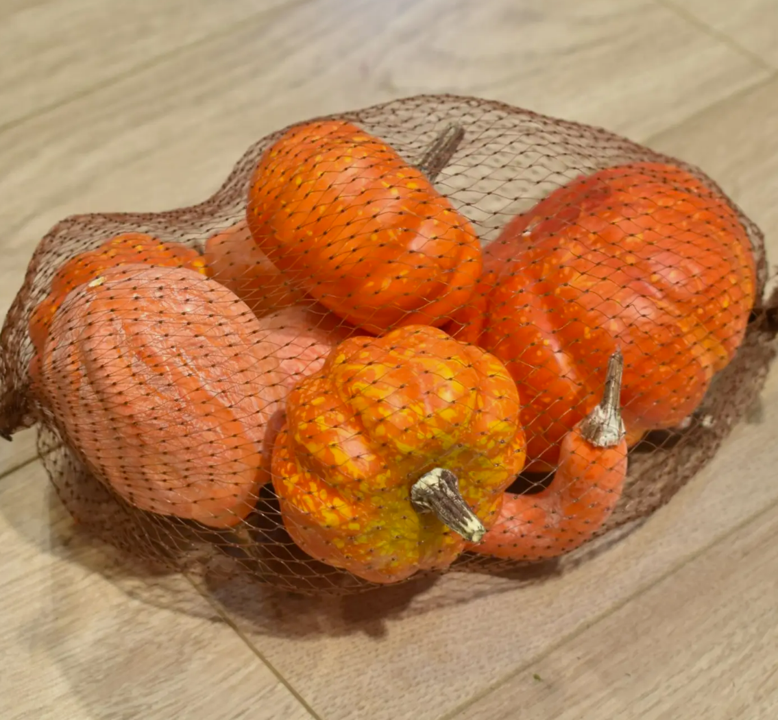 Vibrant Harvest Mixed Size Orange Pumpkin Mesh Bag